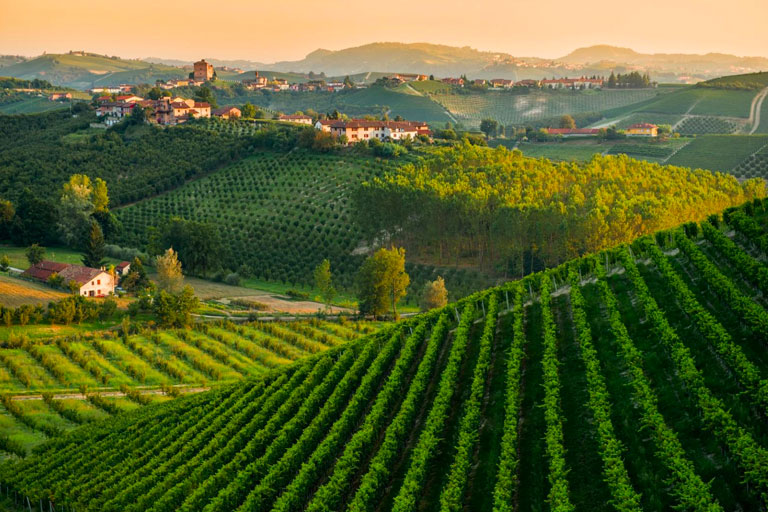 tour-piemonte-langhe-roero